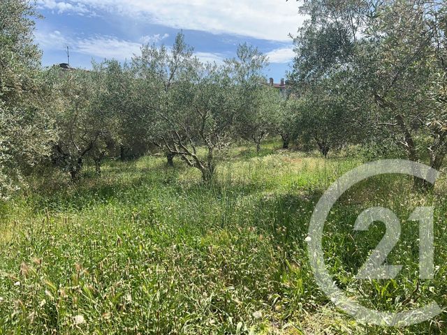 terrain - MANOSQUE - 04